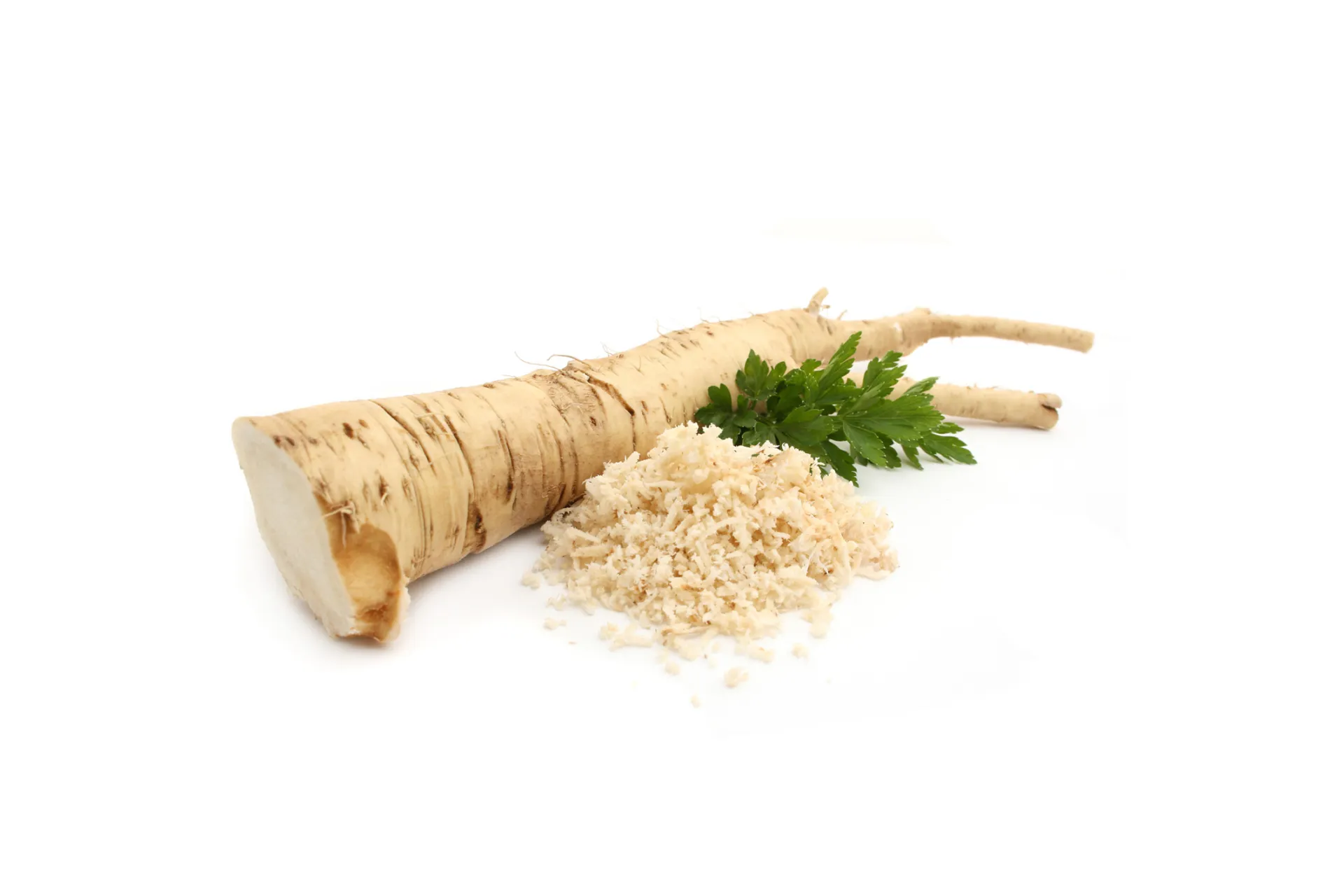 Racines de Raifort (Armoracia rusticana), plante herbac&eacute;e vivace de la famille des Brassicac&eacute;es 95 / 5 000 Horseradish roots (Armoracia rusticana), a perennial herbaceous plant of the Brassicaceae family
