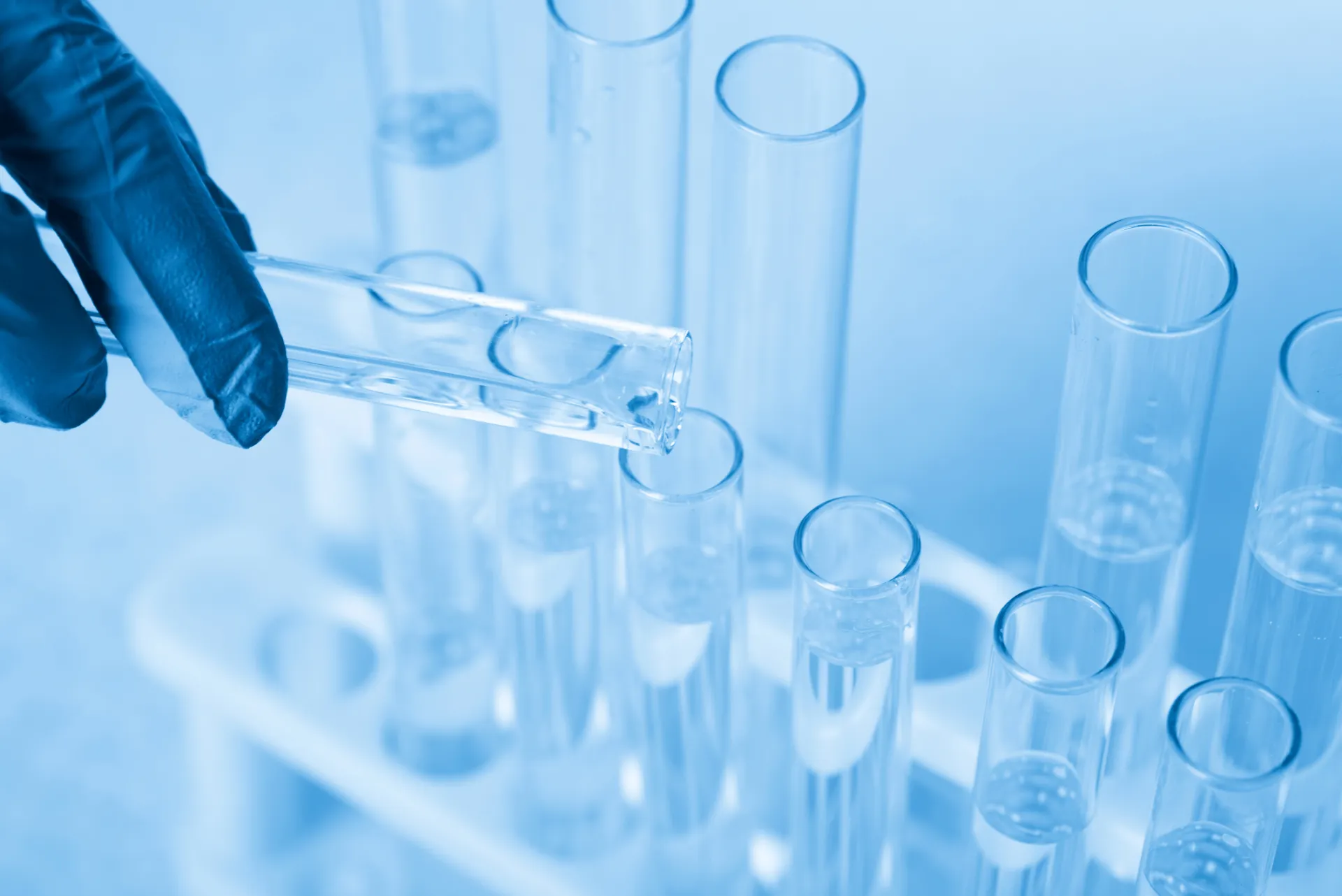Trypsin / Chymotrypsin mixture in test tube