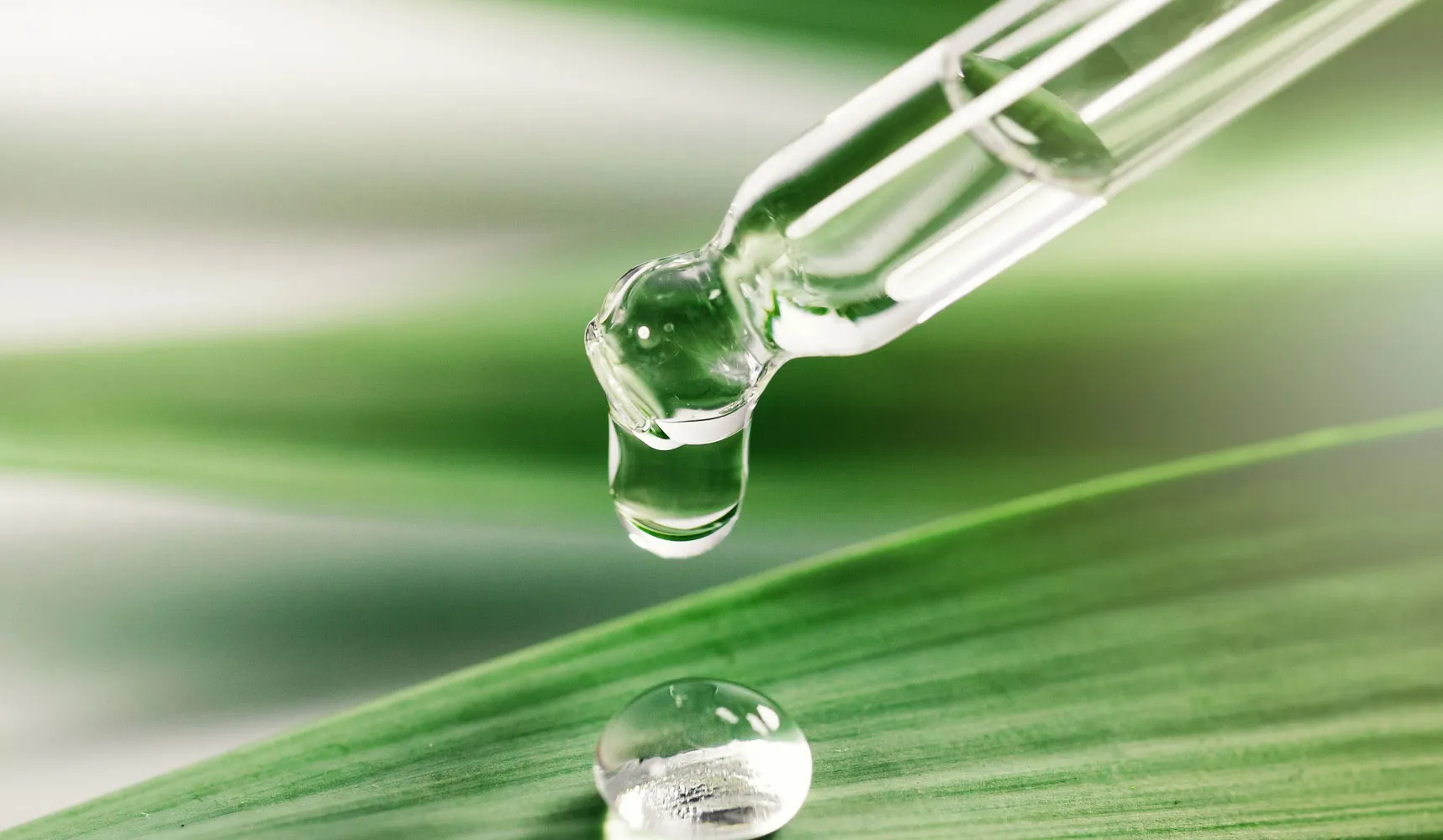 Essential oil