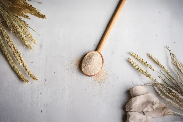 Spoonful of dry yeast and wheat